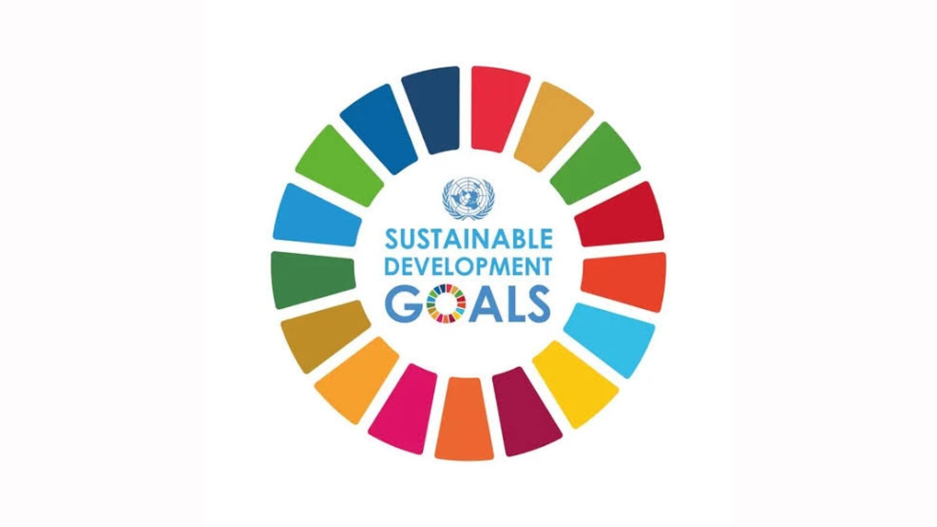 SDG (1)